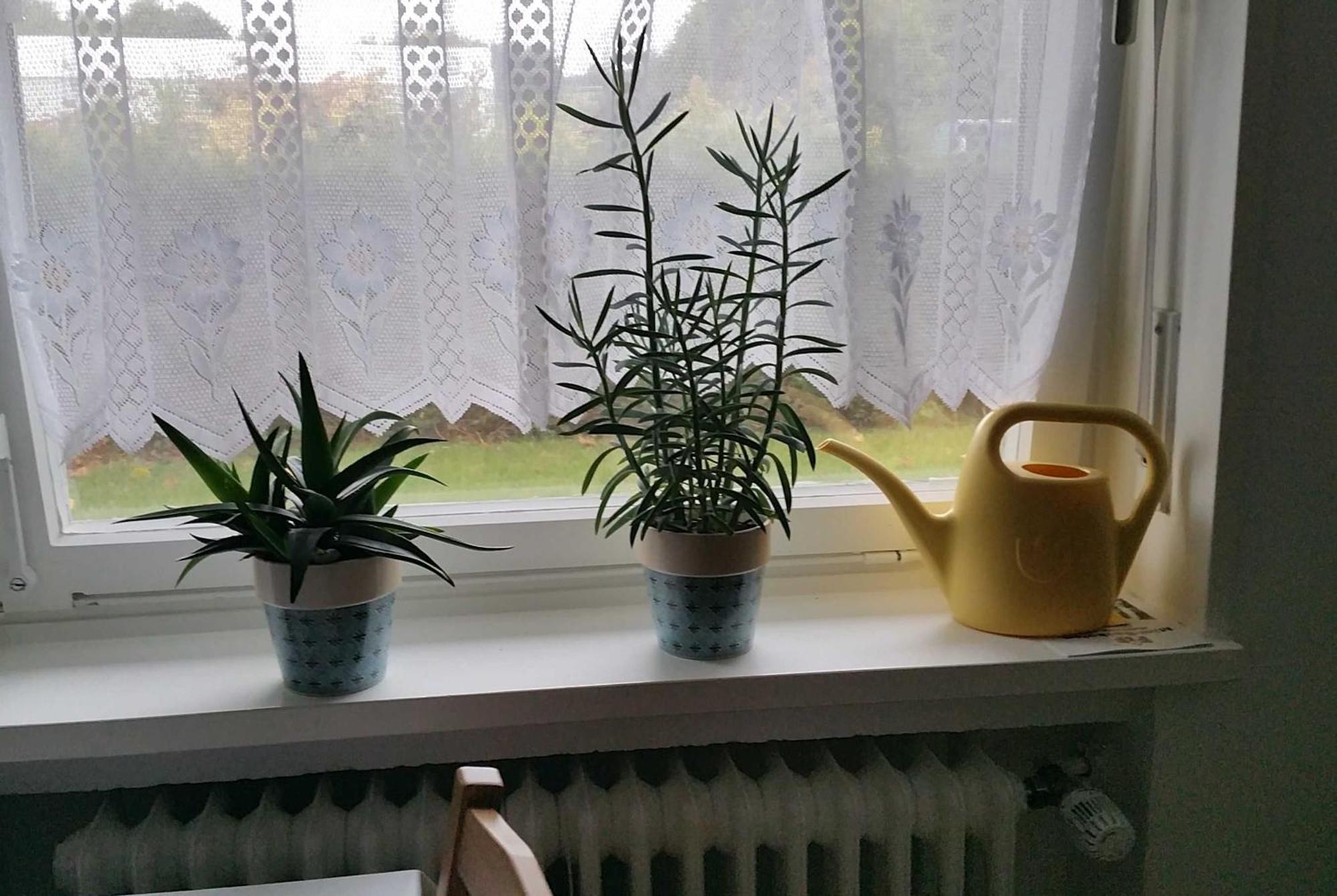 Ferienwohnung Rombachs Spatzennest ヘルボルツハイム エクステリア 写真